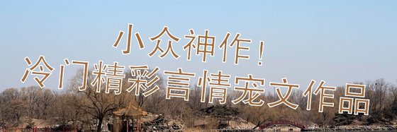 小眾神作！冷門精彩言情寵文作品